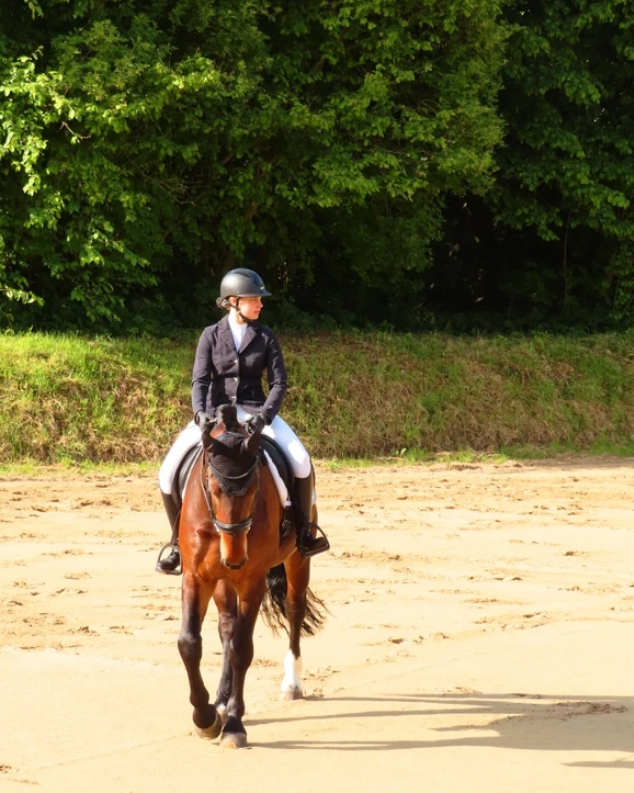 Canon Powershot sx740hs